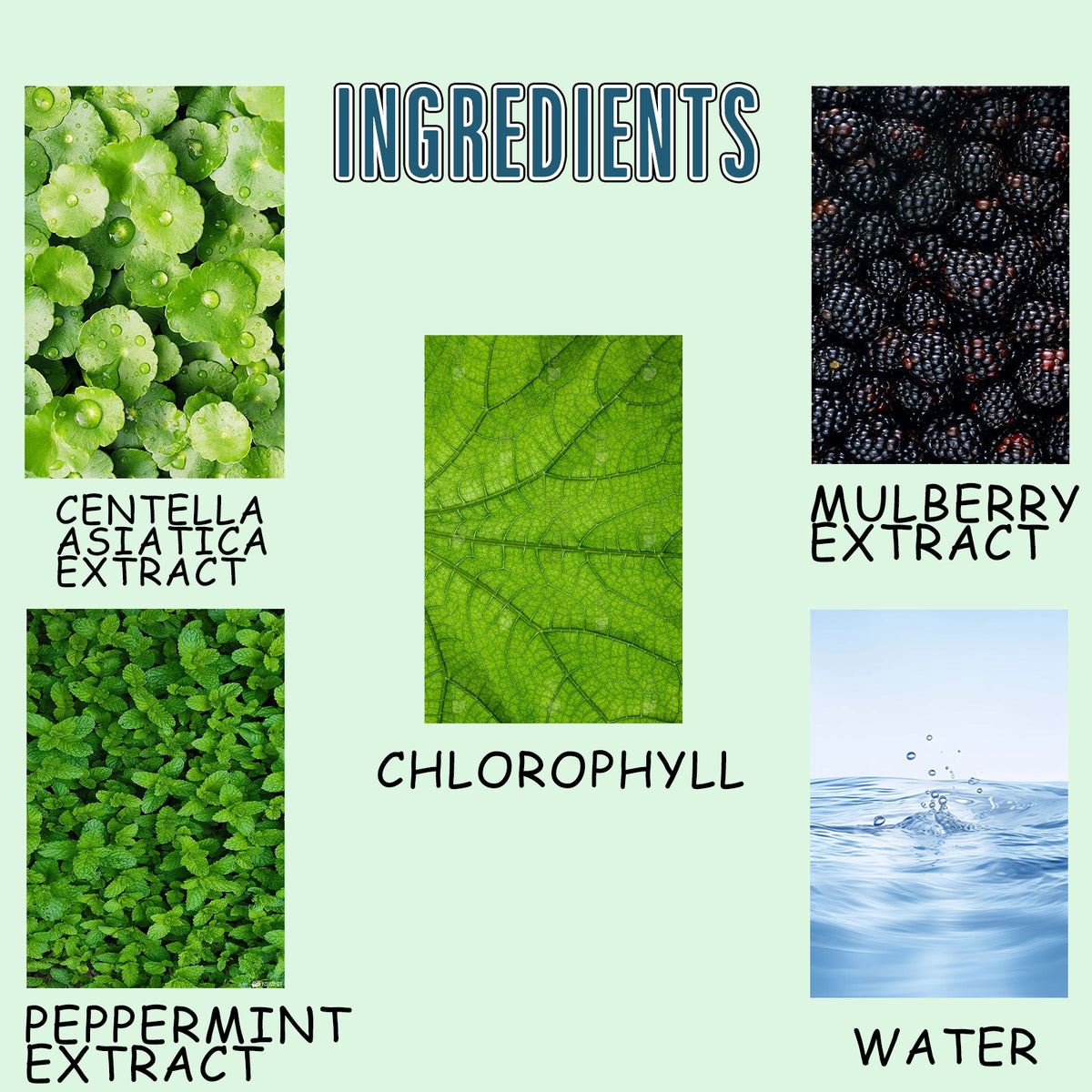 Chlorophyll Liquid Drops, Improve The Bad Breath Odor Beautiful Body Shape Body Improve The Body Energy